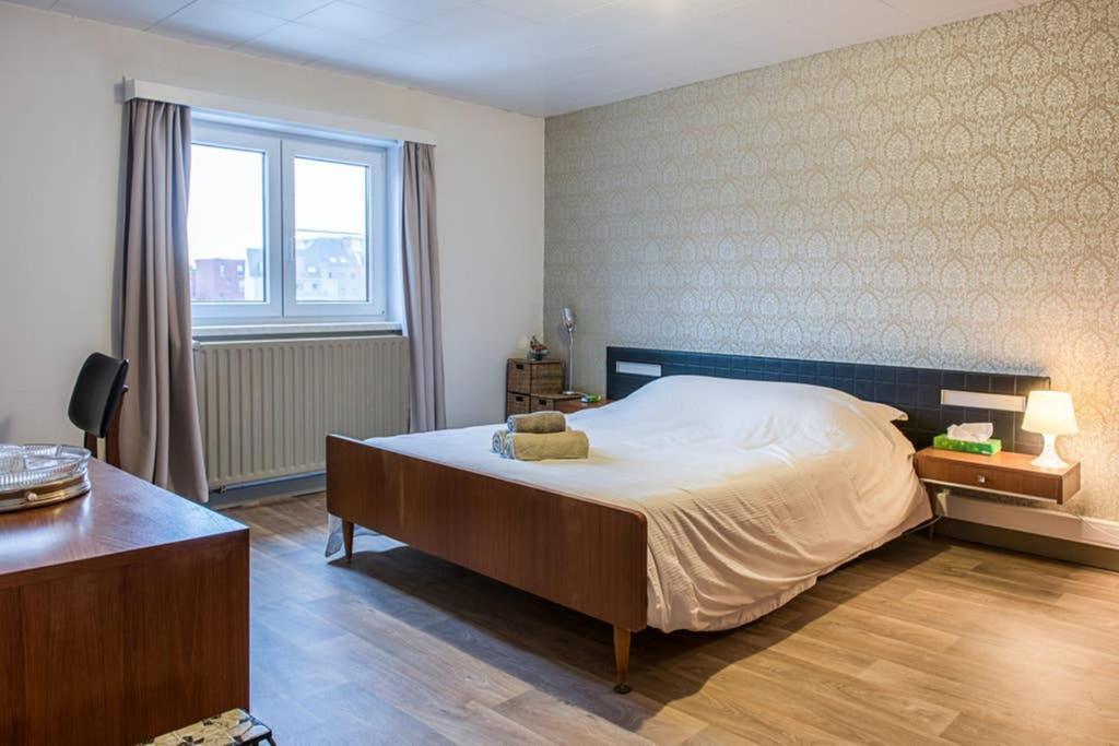 Vakantiewoning In Mol Centrum Met Eigen Bar "Casacuriosa" Екстер'єр фото